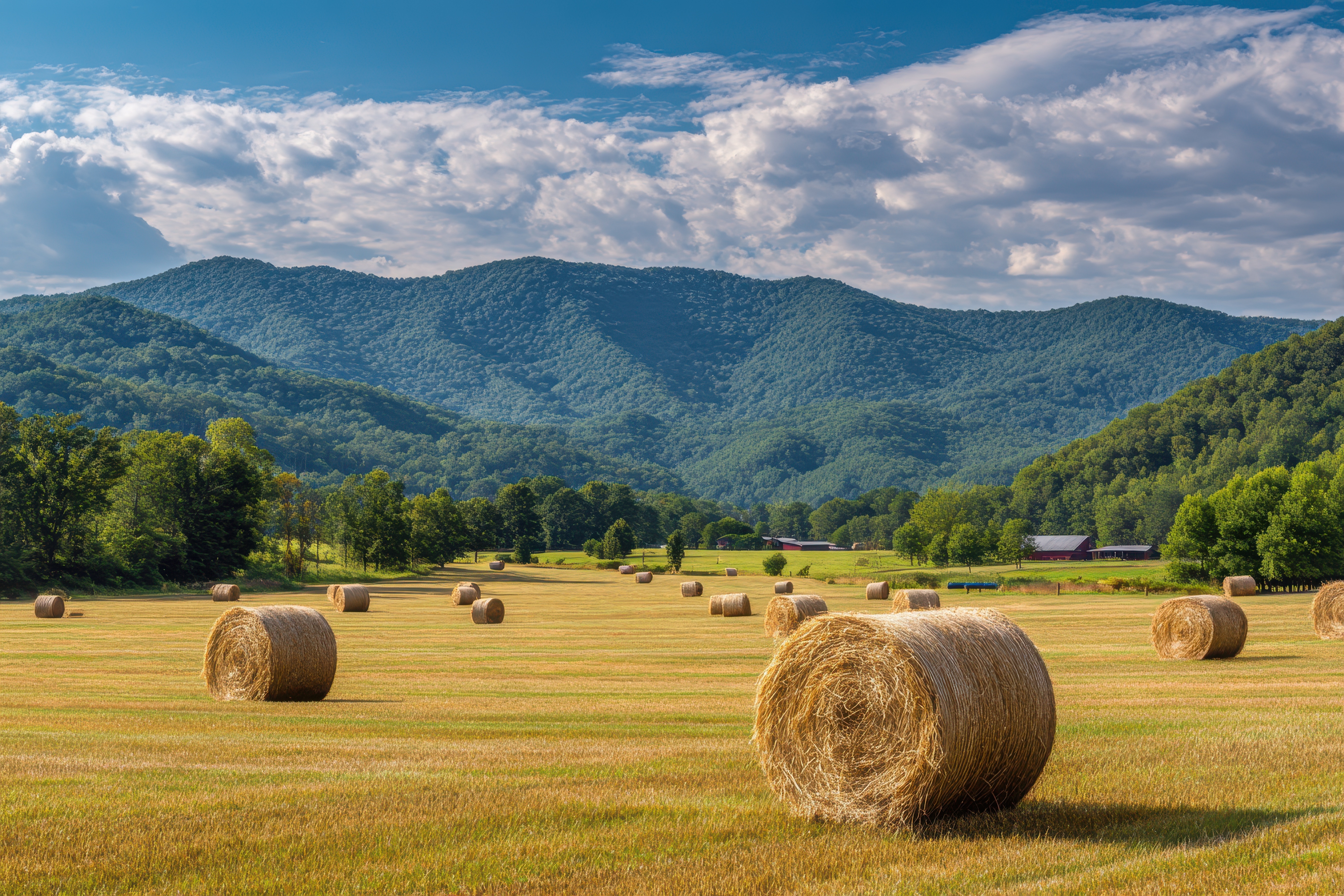 AdobeStock_1684613649